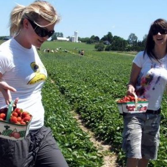 Meet your Posher, Kim - Picture 1 of 1